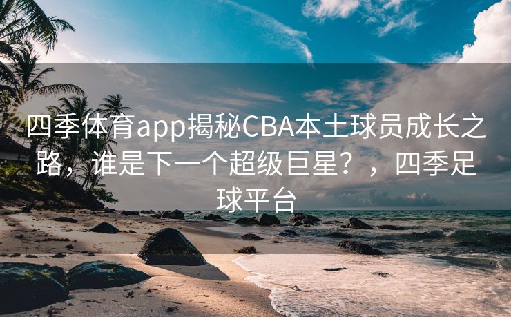 四季体育app揭秘CBA本土球员成长之路，谁是下一个超级巨星？，四季足球平台