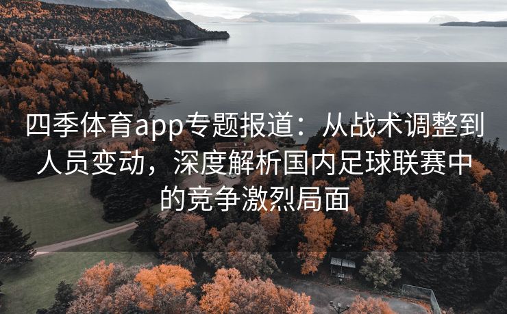 四季体育app专题报道：从战术调整到人员变动，深度解析国内足球联赛中的竞争激烈局面