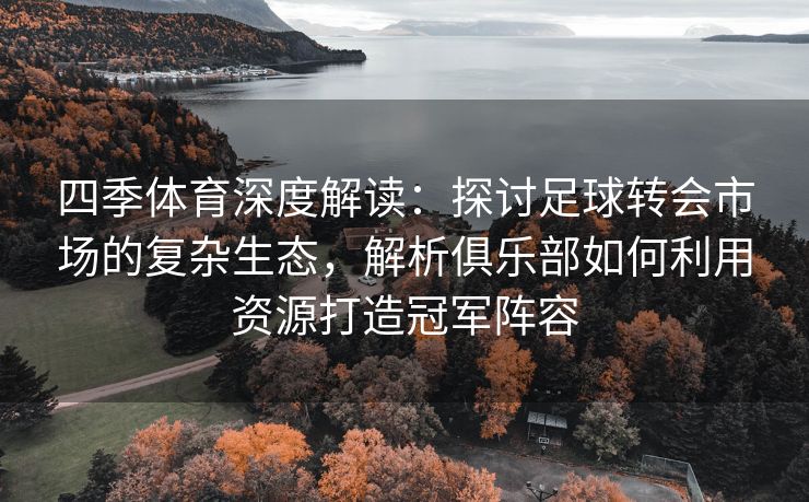 四季体育深度解读：探讨足球转会市场的复杂生态，解析俱乐部如何利用资源打造冠军阵容