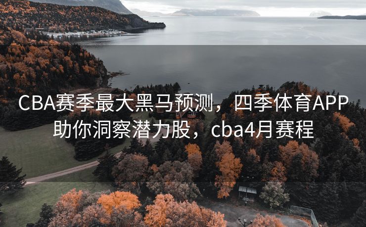 CBA赛季最大黑马预测，四季体育APP助你洞察潜力股，cba4月赛程